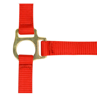 Licol nylon foal Rouge