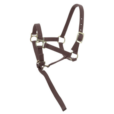 Nylon halster veulen Bruin