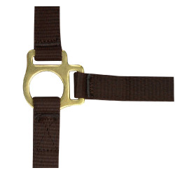 Nylon halster veulen Bruin