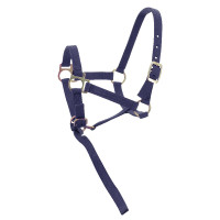 Licol nylon foal Bleu marine