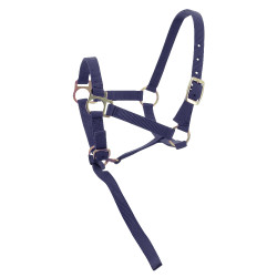 Licol nylon foal Bleu marine Licol nylon foal Bleu marine