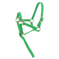 Nylon halster veulen Lichtgroen