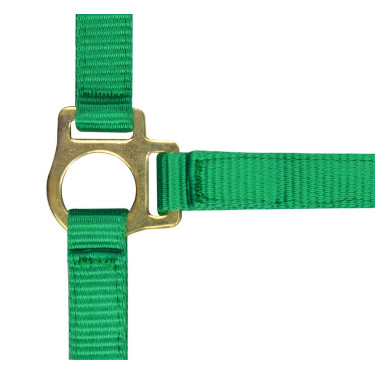 Licol nylon foal Vert clair