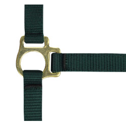 Nylon halster veulen Donkergroen