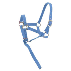 Nylon halster veulen Lucht Blauw
