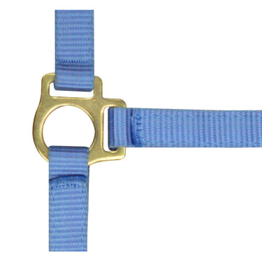 Nylon halster veulen Lucht Blauw