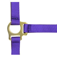 Nylon halster veulen Violet