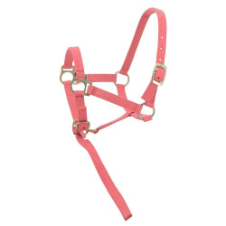 Nylon halster veulen Roze