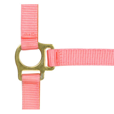 Licol nylon foal Rose Licol nylon foal Rose