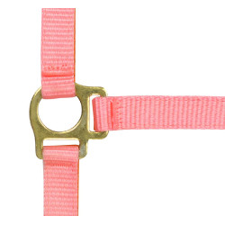 Nylon halster veulen Roze
