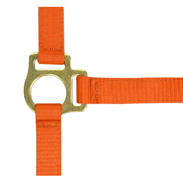 Nylon halster veulen Oranje
