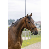 Ethologisch halster touw Fin Zwart
