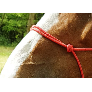 Ethologisch halster touw Fin Rood