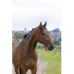 Ethologisch halster touw Fin Rood