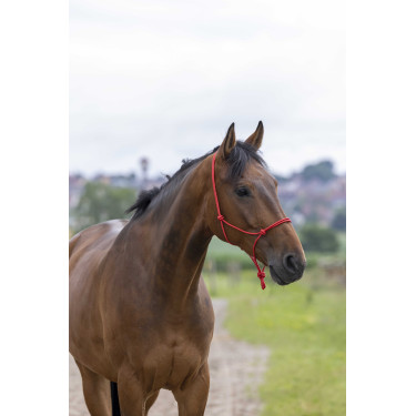 Licol éthologique corde Fin Rouge
