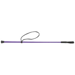 Cravache Whip & Go Twist Violet