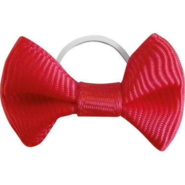 Vlechtbanden Equithème van stof per 20 Rood