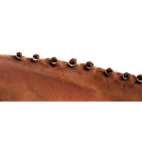 Manenelastieken Wit Manenelastieken Wit