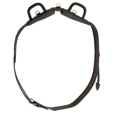 Voltigesingel Excelsior met gesloten handgrepen