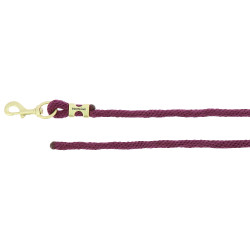 Longe Equithème Bordeaux