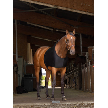 Schouderbescherming Equithème