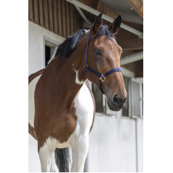 Halster First Marineblauw