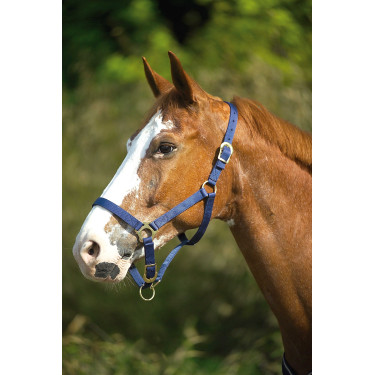 Nylon halster met dubbele dikte en gespen Norton Marineblauw