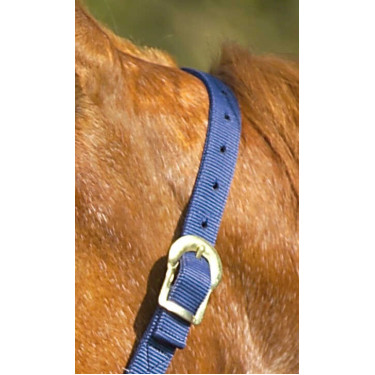 Nylon halster met dubbele dikte en gespen Norton Marineblauw