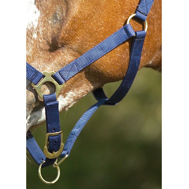 Nylon halster met dubbele dikte en gespen Norton Marineblauw