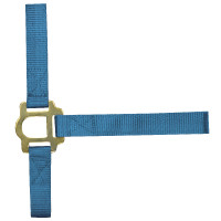 Licol nylon double épaisseur avec fermetures à boucles Norton Turquoise Bleu