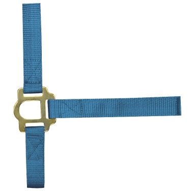 Nylon halster met dubbele dikte en gespen Norton Turkoois Blauw