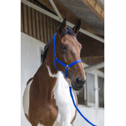 Ensemble licol et longe Club Bleu roi Ensemble licol et longe Club Bleu roi