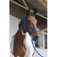 Halster- en leidlijnset Club Fuchsia Roze Halster- en leidlijnset Club Fuchsia Roze