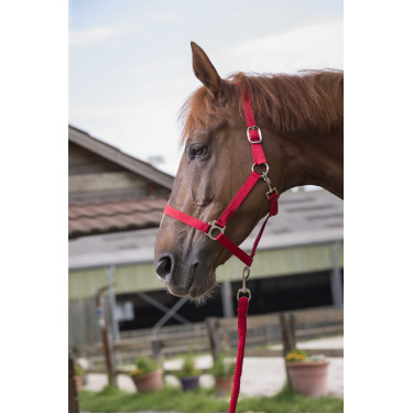 Ensemble licol et longe Club Rouge Ensemble licol et longe Club Rouge