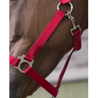 Ensemble licol et longe Club Fuchsia Rose