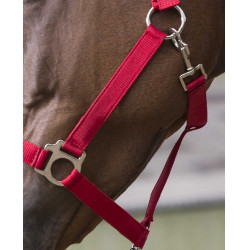 Ensemble licol et longe Club Rouge Ensemble licol et longe Club Rouge