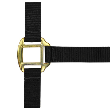 Licol nylon doublé cuir Norton Noir