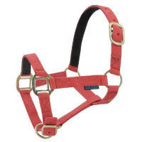 Licol nylon doublé cuir Norton Vert clair