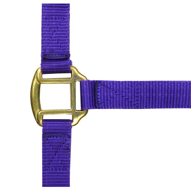 Licol nylon doublé cuir Norton Violet