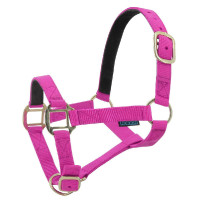 Nylon halster met lederen voering Norton Lichtgroen