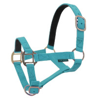 Licol nylon doublé cuir Norton Turquoise Bleu Licol nylon doublé cuir Norton Turquoise Bleu