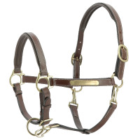 Lederen halster grooming Eric Thomas Pro Havana Bruin