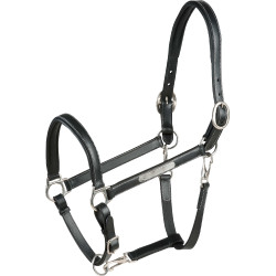 Licol cuir grooming Eric Thomas Pro Noir