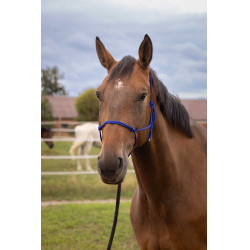 Zachte touwhalster Koningsblauw