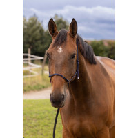 Licol éthologique doux Bleu marine