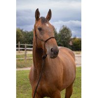 Licol éthologique doux Noir