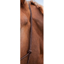 Licol éthologique doux Marron