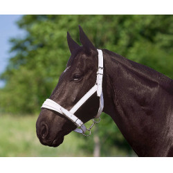 Norton Club leren halster met chroomafwerking Norton Club leren halster met chroomafwerking