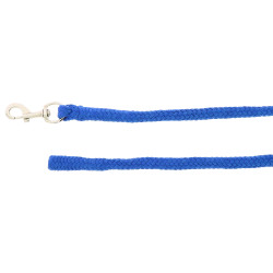 Neon vastzetlijn Neonblauw