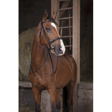 Rubberen teugels Norton Pro Zwart